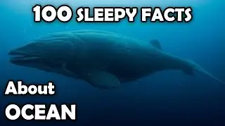 100 Deep Ocean Facts to Fall Asleep To