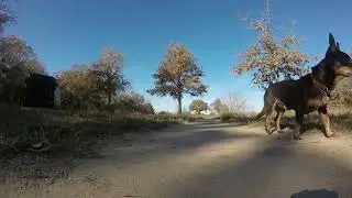 The Ranch: FPV drone cinematic acro Texas