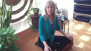 Guest Yoga Teacher Janet Dailey Butler at Anamaya August 17th-24th, 2019