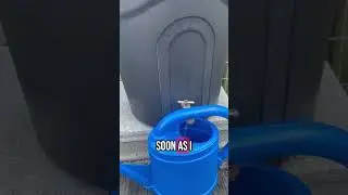 Heat Wave - delays incoming. #tiktokvideo #garden #heatwave #zone6b