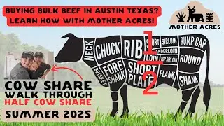 Buying Grass Fed Beef in Austin Texas? Say Howdy to Mother Acres and Half a Cow Share!