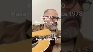 J. Watson & Co. W200 guitars from Japan 1970&rsquo;s sound spectacular. Youtubube music BUY Redemption