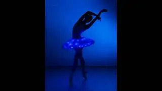 Stellamara - Prituri Se Planinata (NiT GriT Remix)