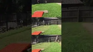 Slip Catching Practice #short