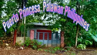 Puerto Princesa Palawan Philippines | Travel Guides | Travel Vlogs | Traveler Cess