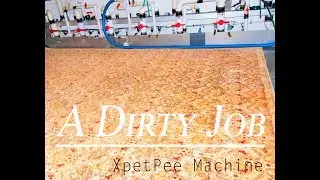 PetPeePee Company-Dirty job Part 2 - cleaning Oriental rug from dog urine