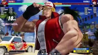 The King Of Fighters XV: Terry 