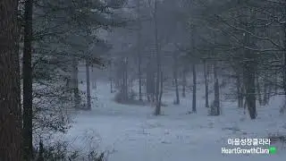 [마음성장클라라💚] 겨울밤, 마음이 울컥해지는 따뜻한 감성 트로트 1시간 | Warm Winter Night Korean Trot for Emotional Healing 1Hour