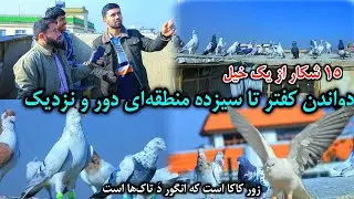 شوق تا سیزده منطقه‌ای دور و نزدیک/ شکار ۱۵ کفتر از یک خیل/ تقویه، نواله، آبکی، / عواقب نسخه خود...