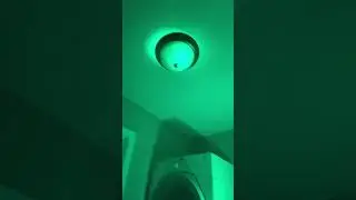 Lights
