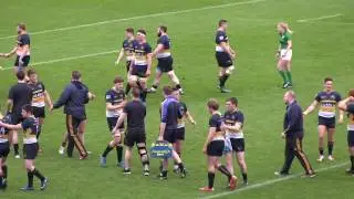 Dolphin RFC