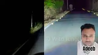 jim corbett national park latest video mohan man eater sunderkhal village ( @WildJungleRemix )