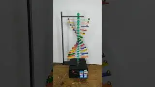 Dna project model | science project #schoolproject #science #shorts