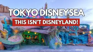 Впервые в Tokyo DisneySea? Посмотрите это видео.