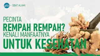 Beragam Rempah Alam Berkhasiat Hebat Untuk Tubuh | Hidup Sehat tvOne