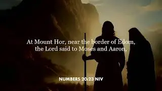 Numbers 20:23 (NIV)
