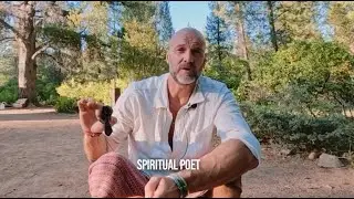 REALITY vs SIMULATION
