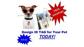 Identification Tags for Your Pet Security | Pet Driver&rsquo;s License