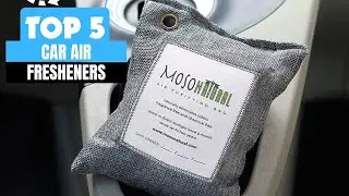 Best Car Air Fresheners (2025) - Best Air Purifying Bag!