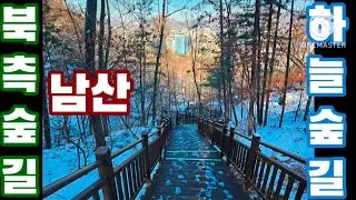 Winter Trekking in Namsan Northern Forest Road & Sky Forest Trail