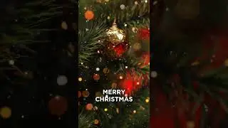 Merry Christmas & Happy Holidays. #NatureVillage #MerryChristmas #HappyHolidays #Shorts