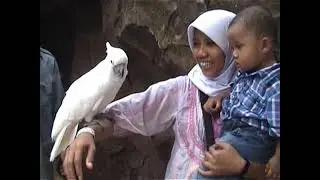BERKUNJUNG KE JATIM PARK 2 || WISATA KELUARGA||7 JANUARI 2012