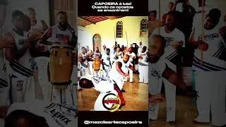 Quando os opostos se encontram!Capoeira sem barreiras! #capoeira #luta  #fight  #martialarts #ufc