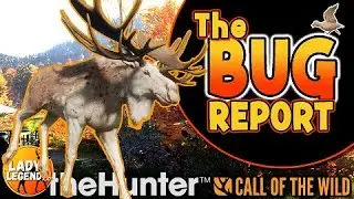 UPDATE CHANGES & Bug Report!!! - Call of the Wild Update Dec. 2022