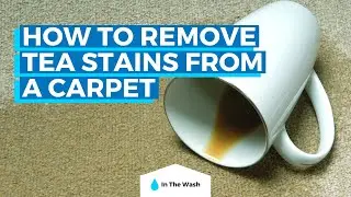 How to Remove Tea Stains From a Carpet - Tea Stain Cleaning Hacks!
