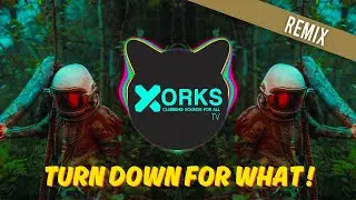 DJ Snake & Lil Jon - Turn Down for What (DOOVS x B BROS x KL PROD Remix)
