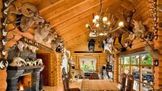 Maisons compactes en bois : conceptions et petites maisons
