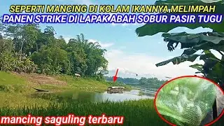 PANEN STRIKE SEPERTI MANCING DI KOLAM LAPAK ABAH SOBUR || MANCING SAGULING TERBARU 2026