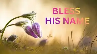 Bless His Name | Psalm 96 #Psalms #ChristianMusic #Worship