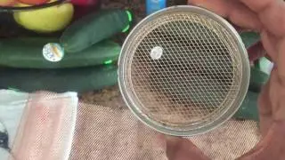 How To Make Cheap Copper Sprouting Lids