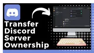 How To Transfer Discord Server Ownership (Easy)