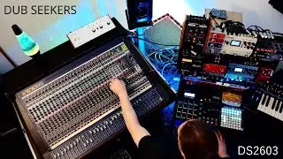 DS2603: Dub Mix Meltdown Phases and Filters Techno Beat into Gurgling Chatter