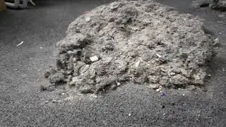 For the fluff lovers