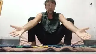 Combative Calesthenics Freelance 101