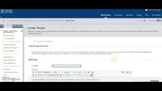 Discussion forum peer review instructions