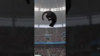 Cat Olympic Performance #shorts #cat #funny #yshorts