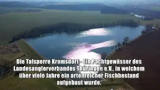 LAVT e.V. - Vernichtung der heimischen Fischarten durch den Kormoran
