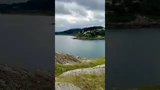 Dalkey Island vibes 🌊🐬 Hidden gem just minutes from Dublin! #DalkeyIsland #Ireland #Travel #euro