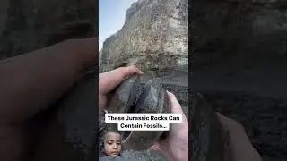 #fossil #treasure #ammonite #satisfying #fishing #ocean #yorkshire #jurassic #mm #facts