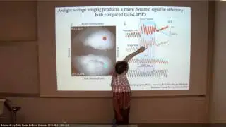 ELSC lecture Vincenct Peiribone 11/5/2015