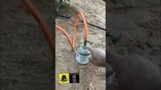 قرص الجنوب برعاية فرن صبا من سناب ابومشاري