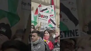 Why Egypt & Qatar Just Called Out Netanyahu | Gaza Crisis Explained Fast