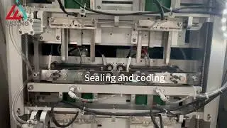 2 Heads Filling Machine for Beauty Essence Facial Mask Sheet