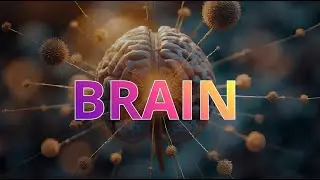 Solfeggio Frequencies & Binaural Beats for Brain Power | Enhance Focus & Memory