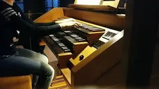 Allegro Moderato (Claudia Wa&szlig;ner)