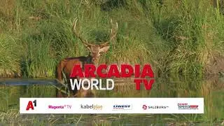 Arcadia TV World